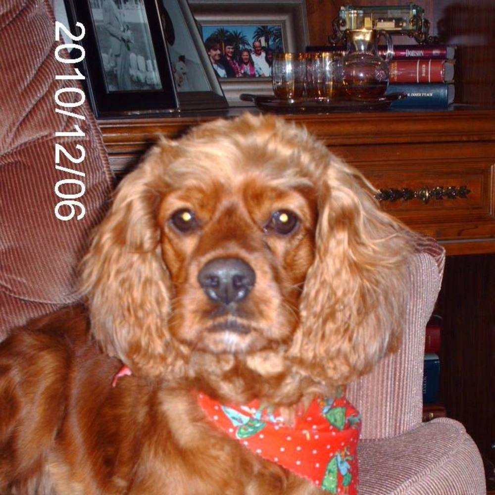 Meet your Posher, Karen